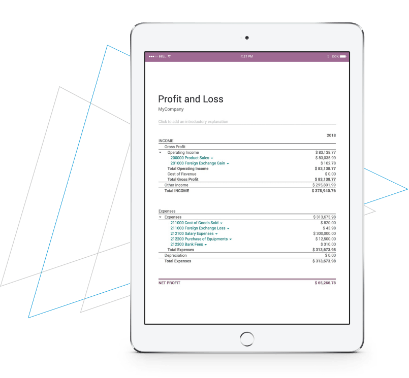 Odoo Accounting System