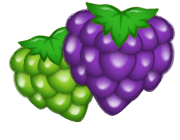 Grapes