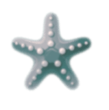 Star Fish